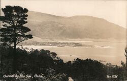 Panoramic view of lake Postcard