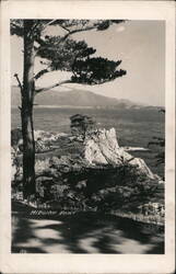 Midway Point, California Coastline Postcard