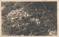 Airplane View of Camp Curry, Yosemite National Park Postcard