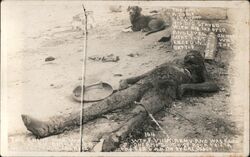 Mexico Border War - Dog with His Dead Master Postcard
