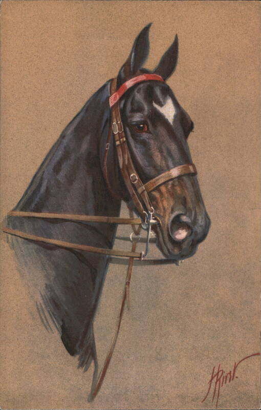 Black Horse Head with Bridle H Rivst Horses