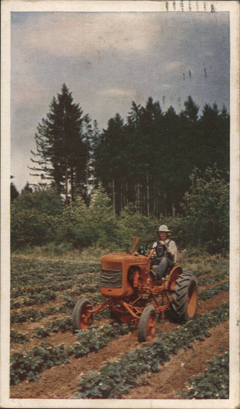 Man Driving Allis-Chalmers Model B Tractor in Field