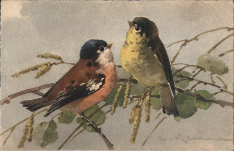 Two Birds on a Branch C. Klein