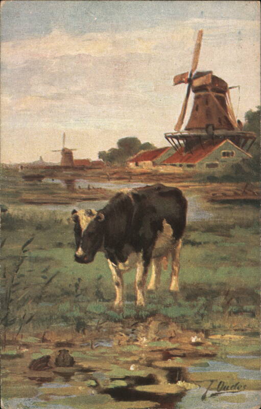 Cow in Field with Windmills, Holland J. Oude Cows & Cattle