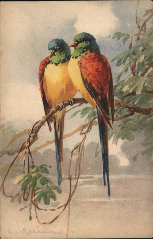 Two Colorful Birds Perched on a Branch C. Klein