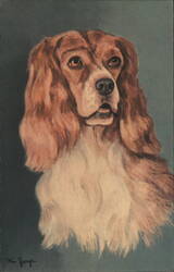 Stock #1035986 Thumbnail