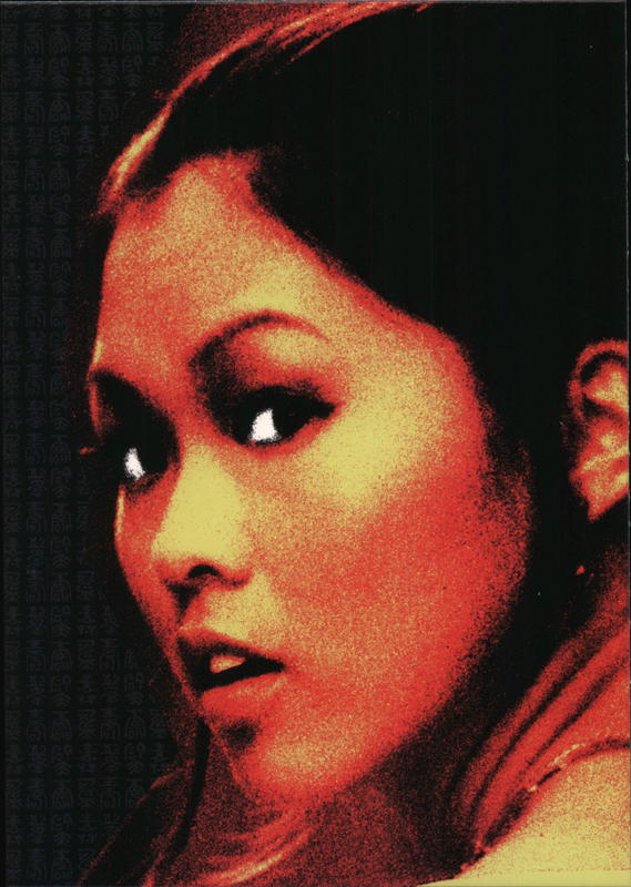 Samurai Girl Fallen From the Sky... Rack Cards