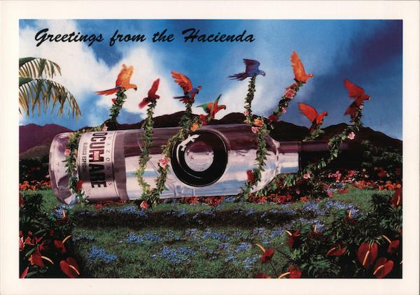 Ocumare Greetings from the Hacienda Rack Cards