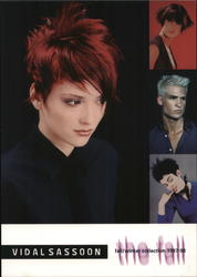 Vidal Sassoon "The Fall" Postcard