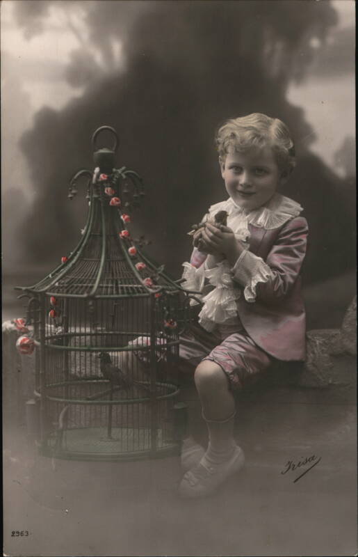 Boy with Bird and Birdcage Birds