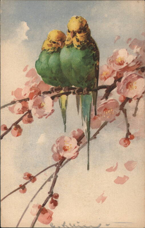 Two Parakeets on a Flowering Branch C. Klein Birds