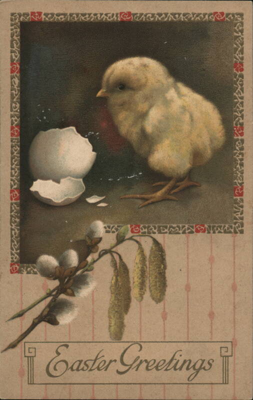 Fluffy Yellow Chick Hatching, Easter Greetings Postcard