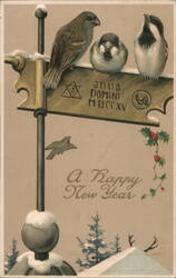 Three Birds Perched on Signpost, Happy New Year Greeting Postcard