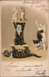 Acrobatic Cats with Blue Ribbons Postcard