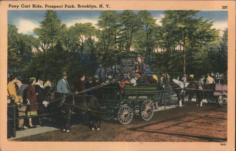 Pony Cart Ride, Prospect Park Brooklyn New York