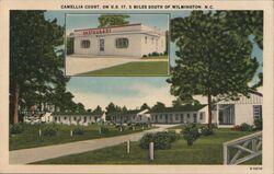 Camellia Court Postcard