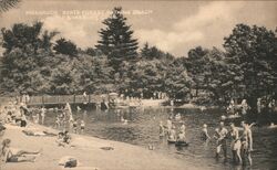Massacoe State Forest Bathing Beach Postcard
