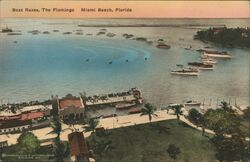 Boat Races, The Flamingo, Miami Beach, Florida Postcard