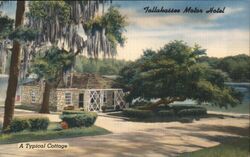 Tallahassee Motor Hotel Postcard