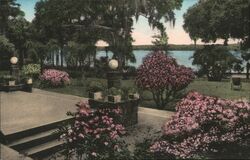 Hotel Alabama View from Lakeside Veranda, Winter Park, FL Postcard