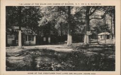 The Lodge at The Wilds and Cabins at Sharon, NY Postcard