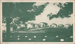 Maple Hurst Lodge, Cabins, US 20, East Bloomfield, NY Postcard