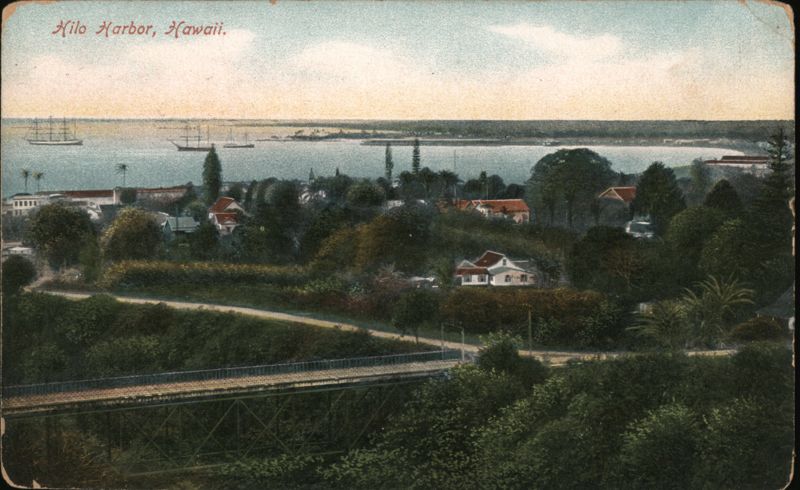 Hilo Harbor, Hawaii: Panoramic View with Bridge and Ships