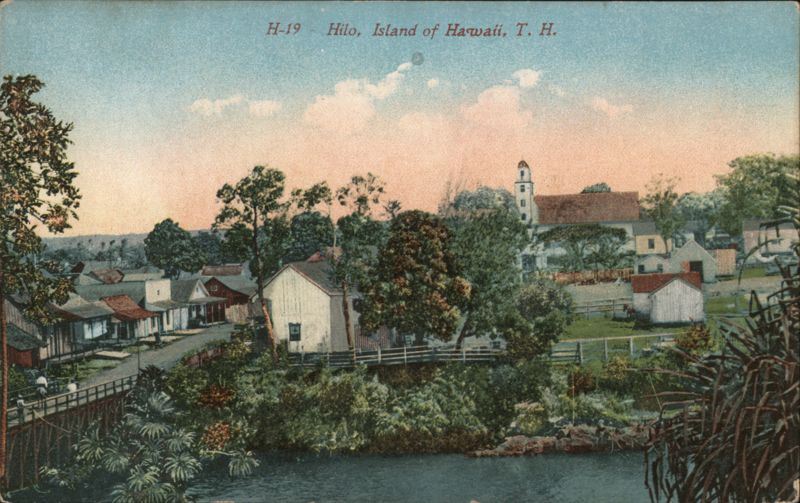 View of Town Hilo Hawaii