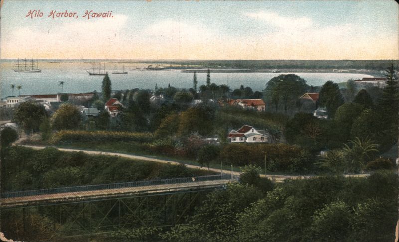 Hilo Harbor, Hawaii: Panoramic View with Bridge and Ships
