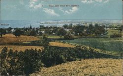 Hilo and Hilo Bay, Hawaii Panoramic View Postcard