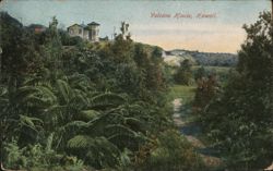 Volcano House Hotel, Hawaii Lush Tropical Foliage Path Postcard