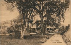 Hilo Hotel Grounds with Gazebo and Automobiles Postcard