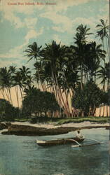 Cocoa Nut Island Postcard