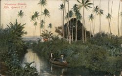 Two Men Canoeing on the Wailoa Stream, Hilo, Hawaii Postcard