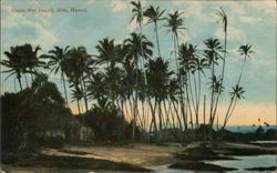 Coconut Island, Hilo, Hawaii Postcard