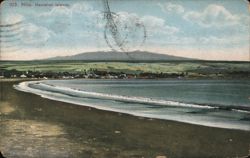Hilo, Hawaiian Islands Beach View with Mauna Kea Postcard
