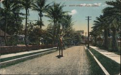 Horse & Rider on Scott Street, Hilo, Hawaii Postcard