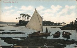 Hilo Bay Scene with Sailboat and Outrigger Canoes, Hawaii Postcard