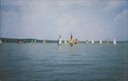 Sailboat Races on Chautauqua Lake, New York Postcard