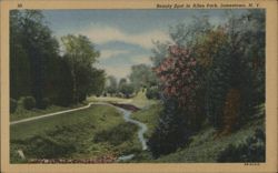 Allen Park Beauty Spot with Stream and Footbridge Postcard