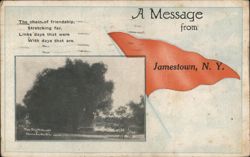 Big Willows, Nevada Mills, NY - Friendship Message Postcard