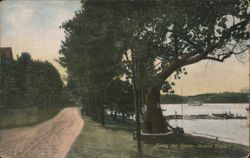 Along the Shore, Bemus Point, New York Postcard