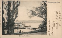 Remus Point Dock, Chautauqua Lake Postcard