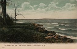 A Breeze on the Lake, Chautauqua, NY Postcard