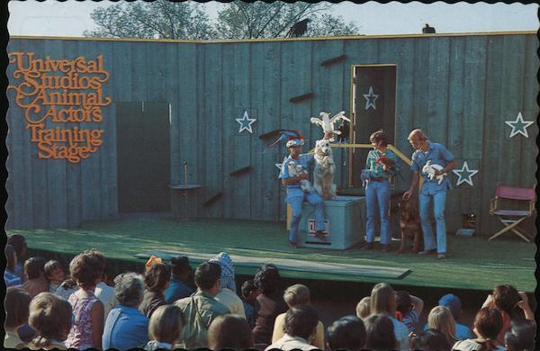 Universal Studios Animal Actors Training Stage Amusement Parks