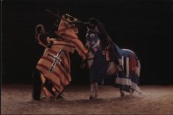 Dramatic Swordplay at Medieval Times Buena Park California