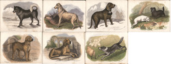 Set of 7: Dogs Trade Card Trade Card Trade Card