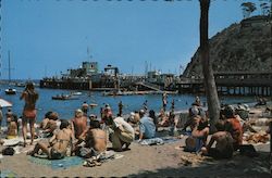 People on Beach at Santa Catalina Island California Postcard Postcard Postcard