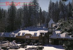 Business District Postcard