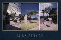 LOS ALTOS Postcard
